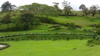 Escape to the mountain: Cabaña Finca Barajas Отели в г. 
