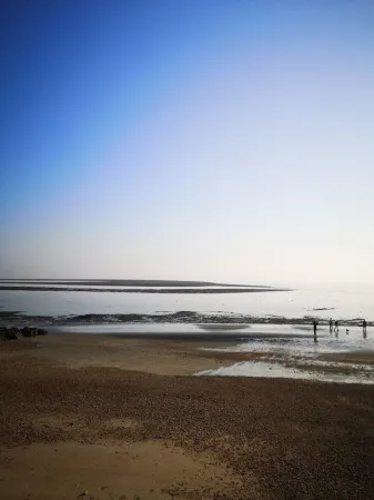 Stunning architect designed eco beachfront property Отели в г. Селси