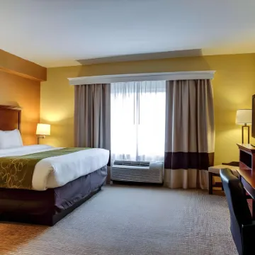 Comfort Suites Ocala North Hotels near Blue Spring