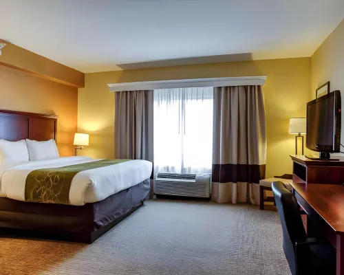 Comfort Suites Ocala North Hotels in Marion County