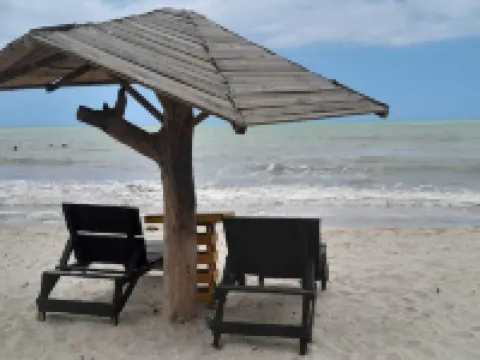 Ocean View Hotels in Riohacha