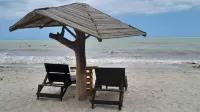 Ocean View - Wifi