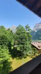 瓦爾德胡斯貝拉里 - 山景