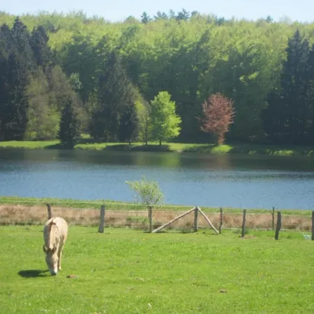 Malmedy Luxe Retreat & Spa