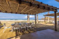 Costa Cerritos Beach Front Property - Ocean View