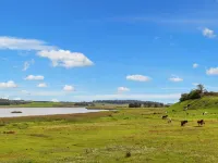 6 person holiday home in Bedsted Thy-By Traum Hotels in Bedsted Thy