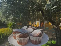 B&B Mariposa - Desayuno