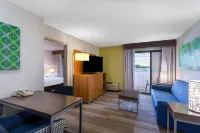 Holiday Inn Express & Suites PHILADELPHIA - KING OF PRUSSIA by IHG