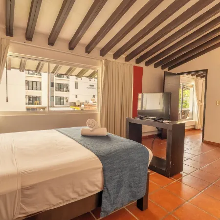 La Iguana Vallarta Lgbt Adults Only - Romantic Zone - Party Clubbing Street