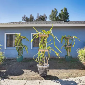 Hike, Sip & Explore: Couples Retreat in Fallbrook