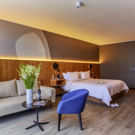 Pullman Lima San Isidro Hotels in Lima