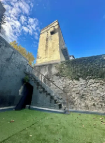 A l'ombre de la Tour