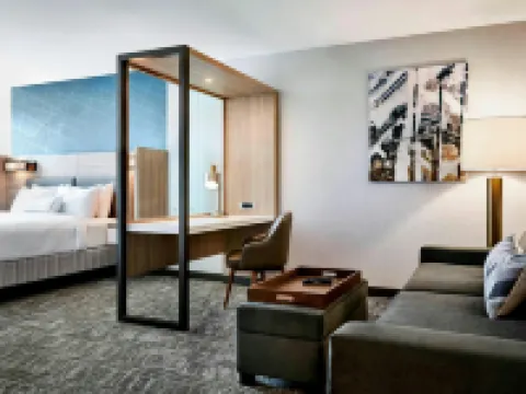 สปริงฮิลล์ สวีทส์ บาย แมริออท บราเซลตัน โรงแรมในBraselton