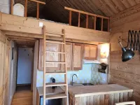 Apartment in Alps near Ski Lifts