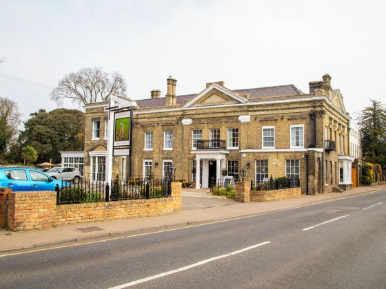 The Chalk Hare, Royston