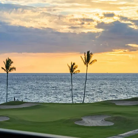 Mauna Lani Point