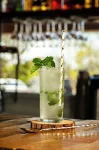 Jangal Das Araucárias Swan Design Hotel Canela - bar