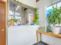 OYO Palm Leaf Motel Hotels in Ashland