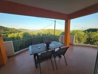 Olive Tree Apartments