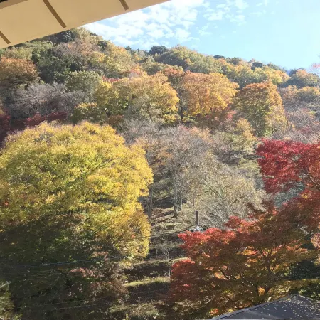 Shuzenji Onsen Katsuragawa