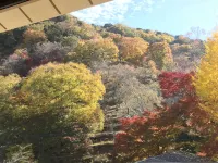 Shuzenji Onsen Katsuragawa - Romantische