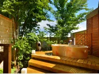 Healing Inn White Pension - Hot Springs