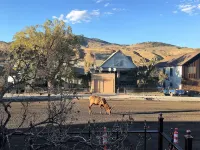 Park Hotel Yellowstone - Mountain view