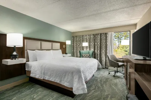 Hampton Inn Richmond-North/Ashland - Wifi
