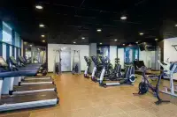 Hilton Greenville - parcheggio