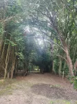 The Bird Nest at The Secret Garden - Kitchens