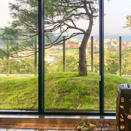 Yangyang art collector6449