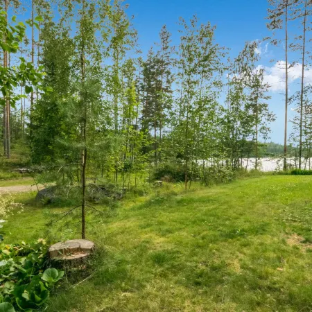Niitsinniemi