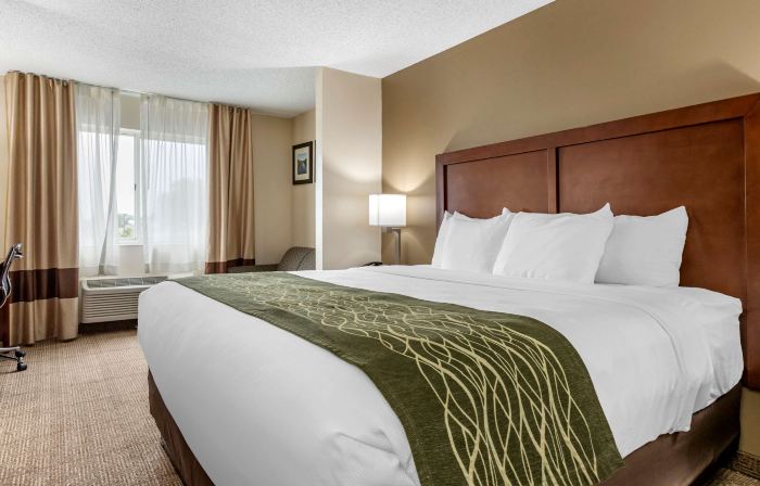 Comfort Inn & Suites Dimondale - Lansing
