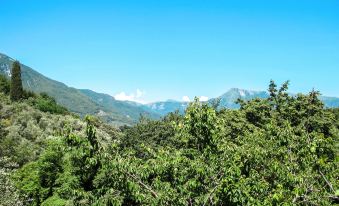 a lush green field with trees and mountains in the background , creating a serene and picturesque scene at Cristina