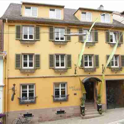 Art Hotel Neckar Hotel Exterior