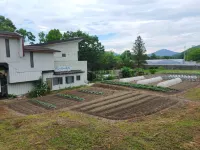 隋金飯店 萩寺洞昌院附近的飯店