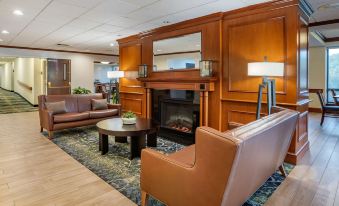 Comfort Inn & Suites Newark - Wilmington