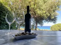 Belvedere Quadri