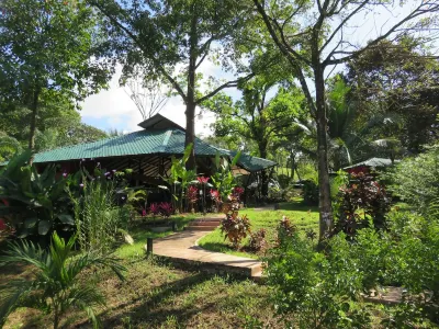 Oasis de las Palmas Hôtels à : Puerto Cortés