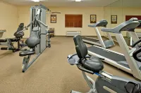 Candlewood Suites ELGIN NW-CHICAGO by IHG - Træningscentre