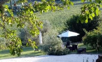 Agriturismo Il Gelso Antico