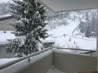 Val Signina Hotels in Laax