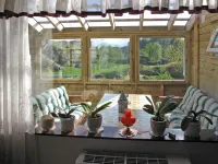 Bjørkeneset - Pet friendly