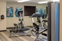 Sonesta Simply Suites Pittsburgh Airport - palestra