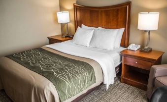 Quality Inn & Suites