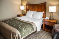 Quality Inn & Suites 녹스 & 칸 레일 트레일 킨주아 브리지 트레일헤드 주변 호텔