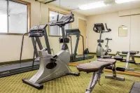 Quality Inn & Suites Moline - Quad Cities - Gym