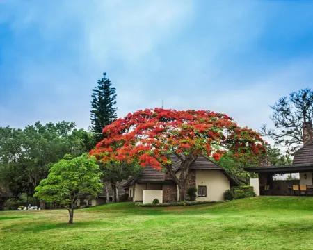 Sabi River Sun Resort Hotels in Ehlanzeni