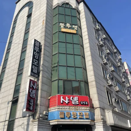 Blooming Gwangyang