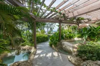 Bougainvillea Barbados - WLAN